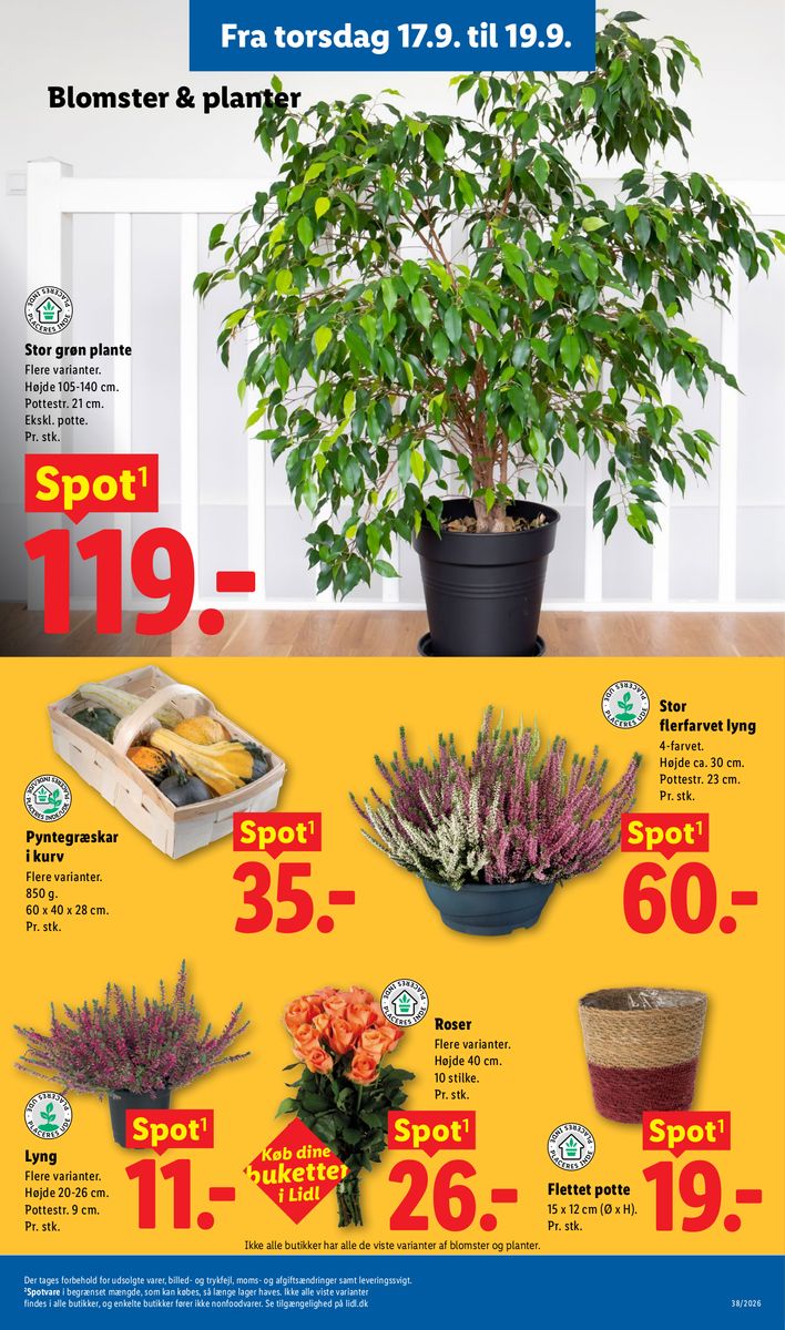 Lidl catalog page 26 — 2026-09-13 to 2026-09-19
