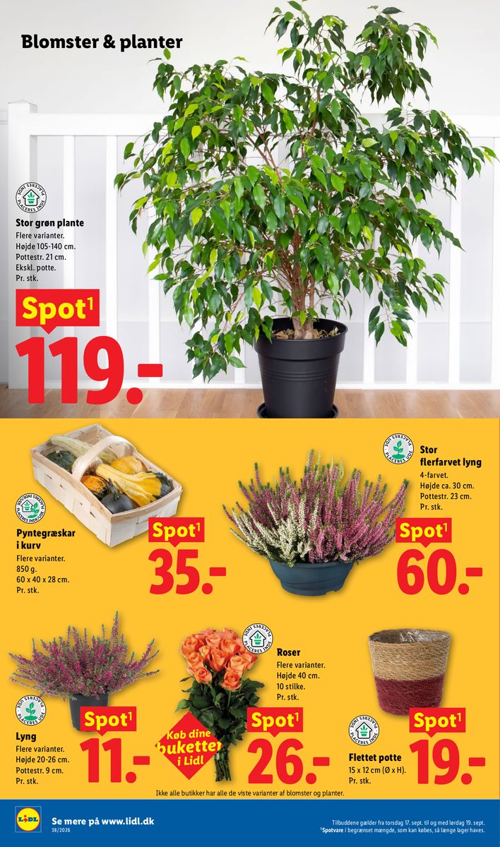 Lidl catalog page 33 — 2026-09-13 to 2026-09-19