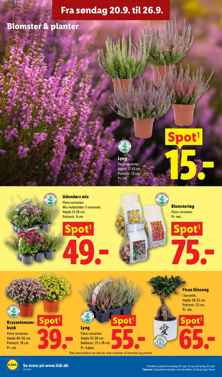 Lidl catalog page 36 — 2026-09-20 to 2026-09-26