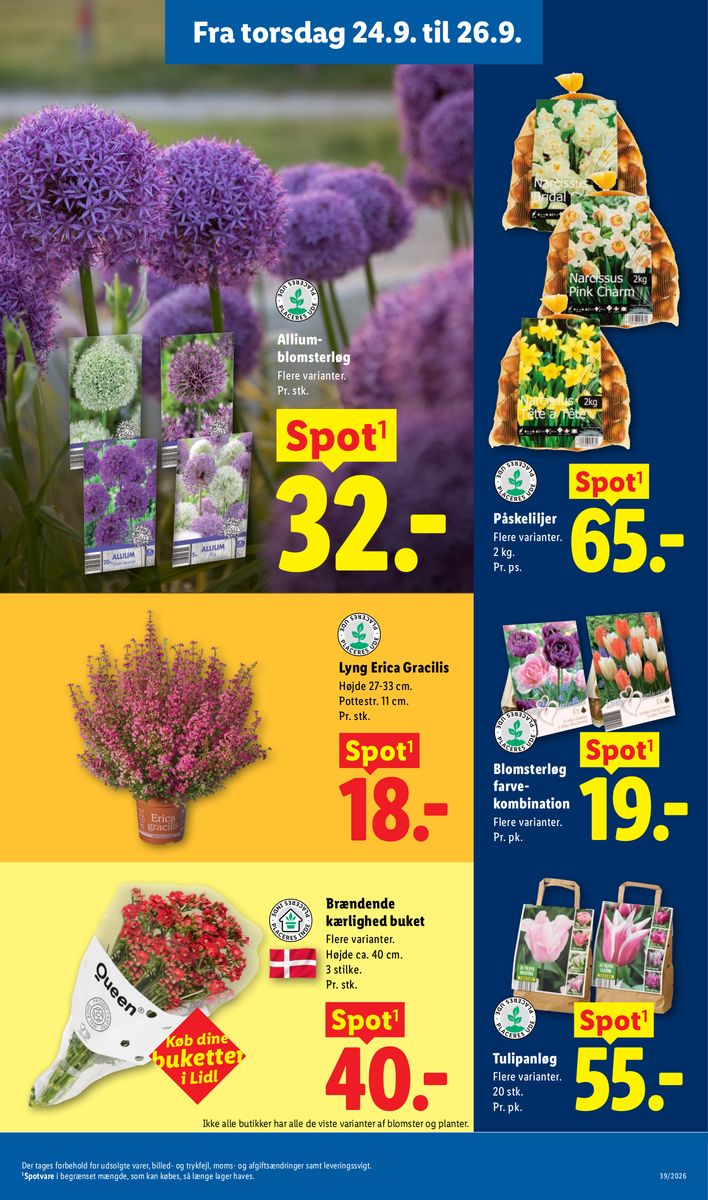 Lidl catalog page 37 — 2026-09-20 to 2026-09-26