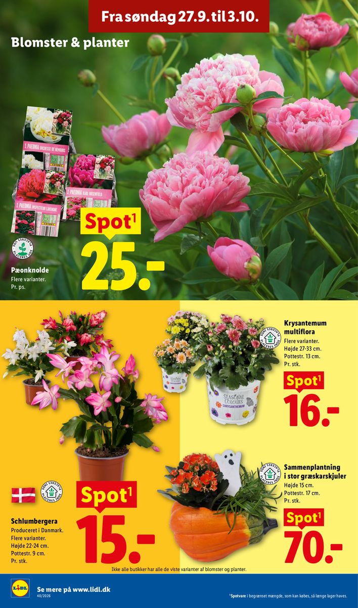 Lidl catalog page 36 — 2026-09-27 to 2026-10-03
