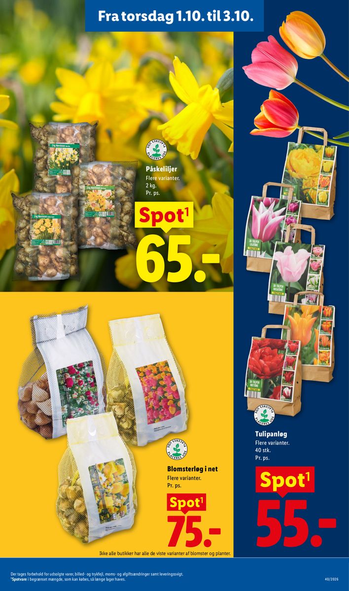 Lidl catalog page 37 — 2026-09-27 to 2026-10-03