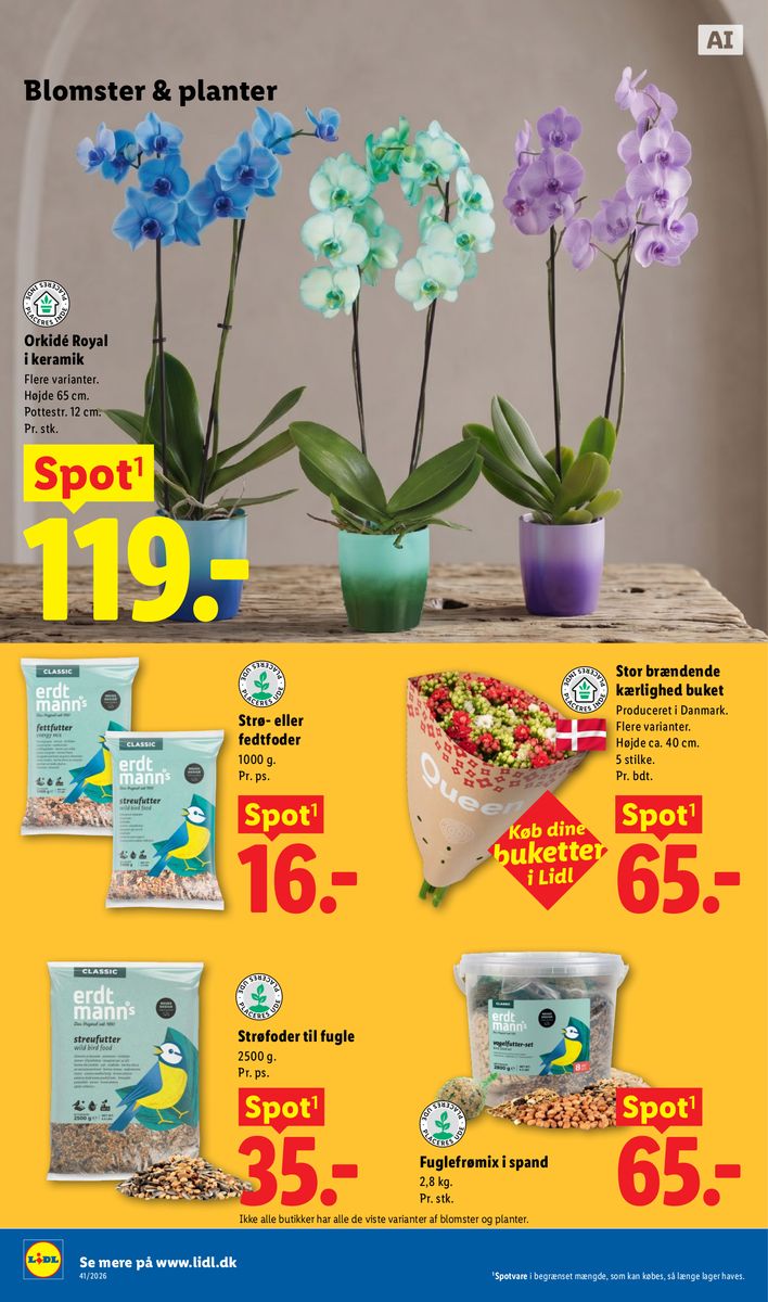 Lidl catalog page 34 — 2026-10-04 to 2026-10-10