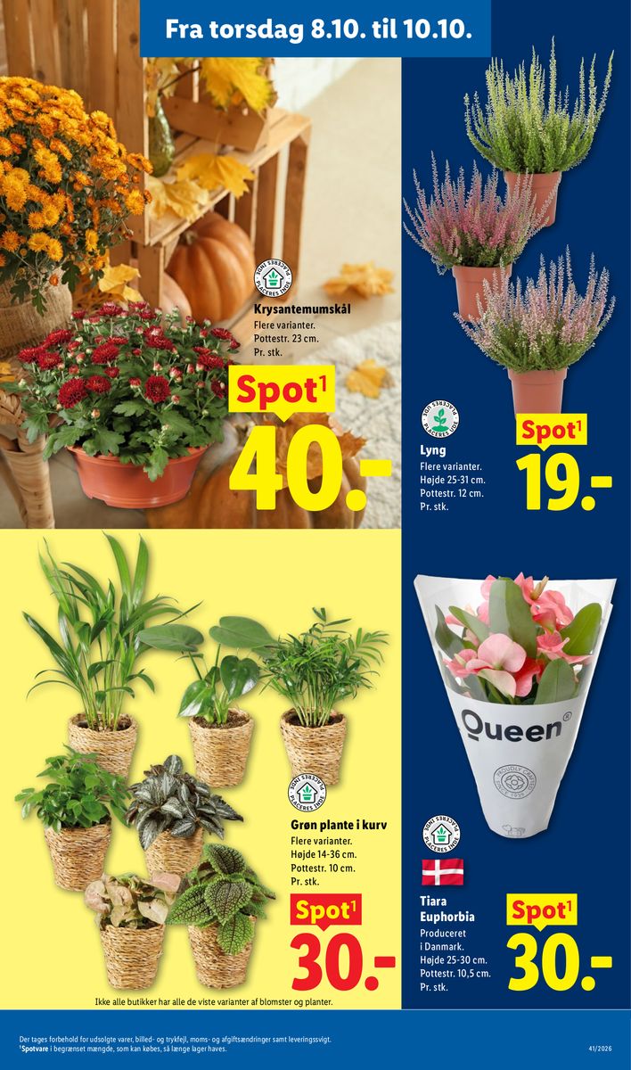 Lidl catalog page 35 — 2026-10-04 to 2026-10-10