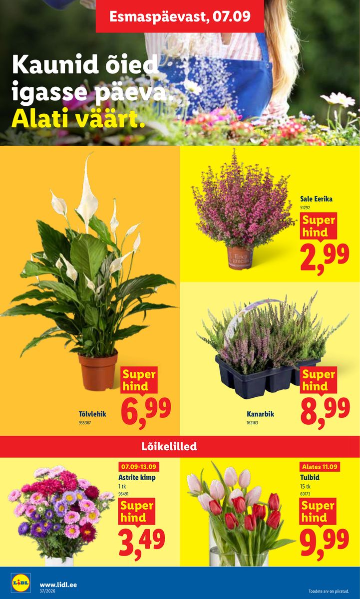 Lidl catalog page 22 — 2026-09-07 to 2026-09-13