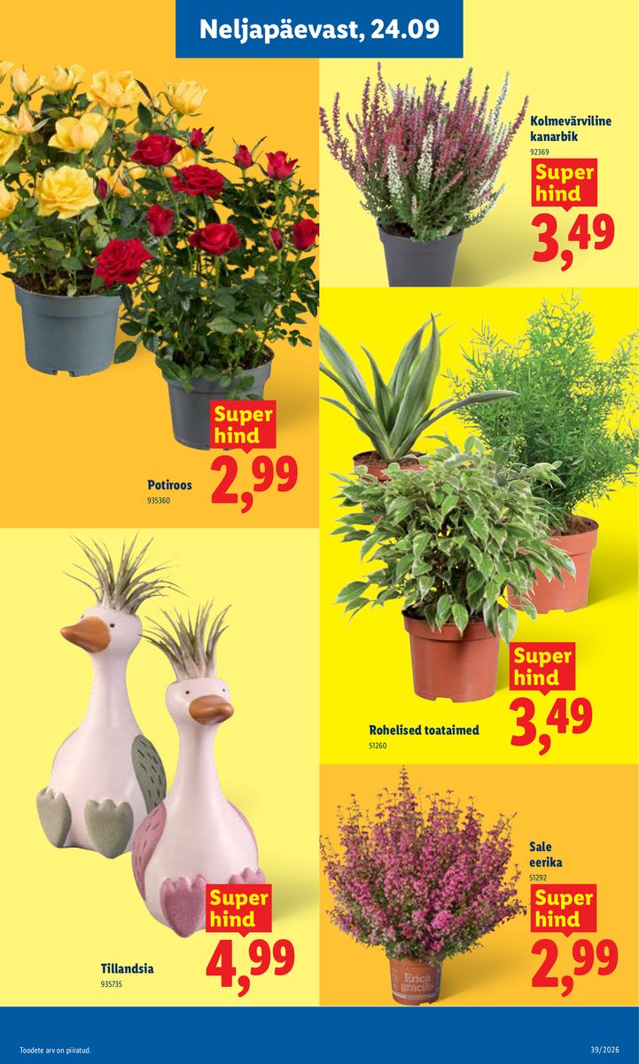 Lidl catalog page 19 — 2026-09-21 to 2026-09-27