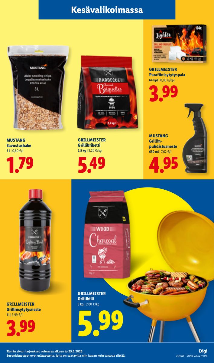 Lidl catalog page 13 — 2026-06-25 to 2026-07-01