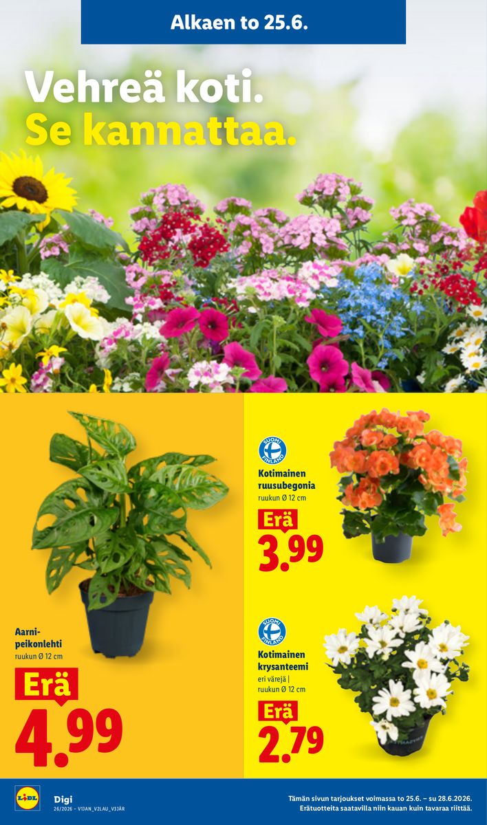 Lidl catalog page 15 — 2026-06-25 to 2026-07-01