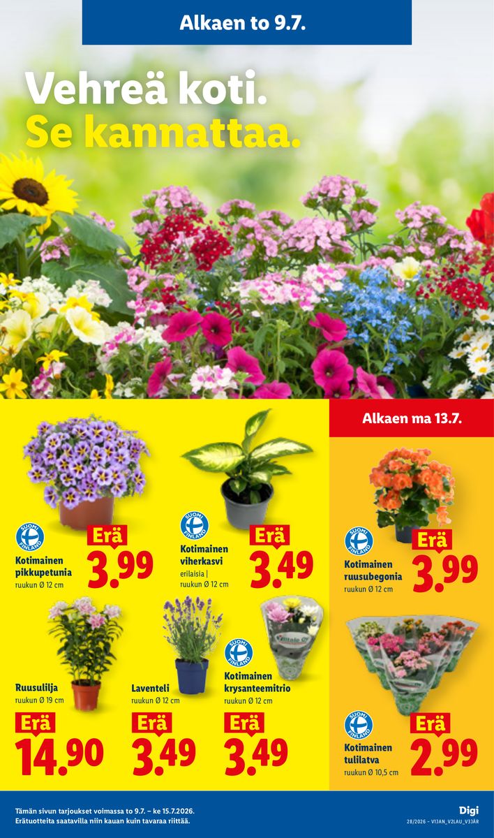 Lidl catalog page 13 — 2026-07-09 to 2026-07-15