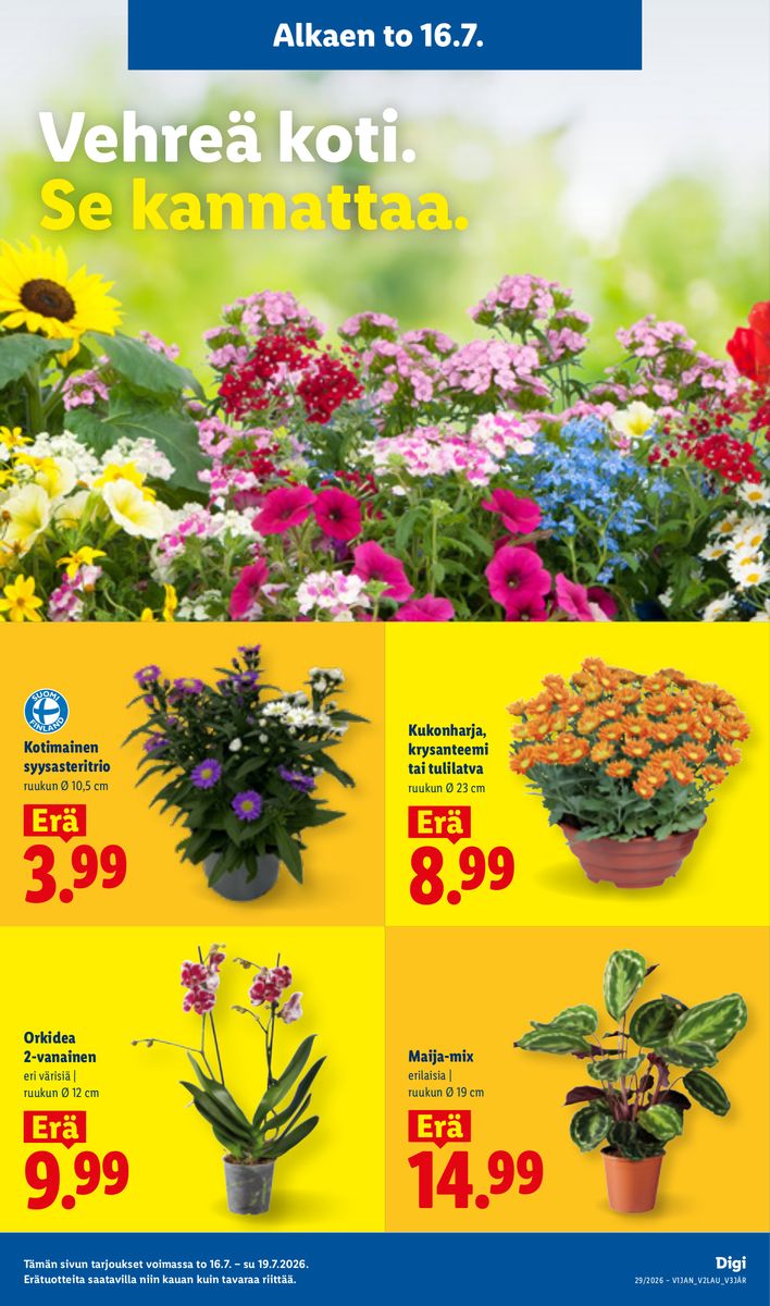 Lidl catalog page 15 — 2026-07-16 to 2026-07-22