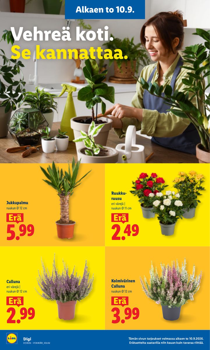Lidl catalog page 23 — 2026-09-10 to 2026-09-13