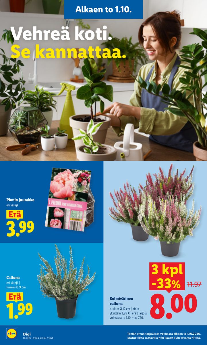 Lidl catalog page 20 — 2026-10-01 to 2026-10-04