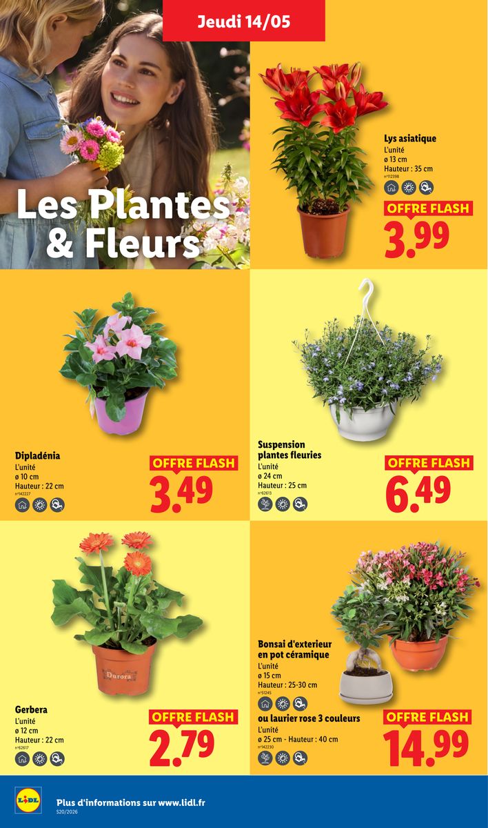 Lidl catalog page 24 — 2026-05-14 to 2026-05-20