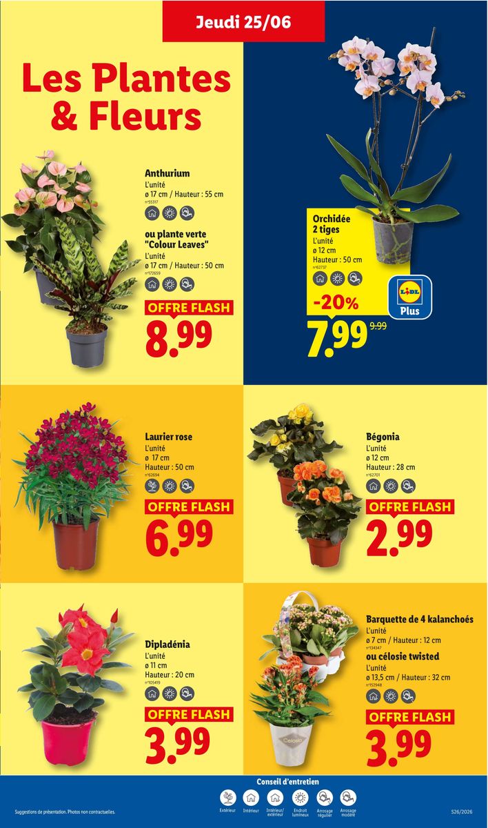 Lidl catalog page 29 — 2026-06-25 to 2026-07-01