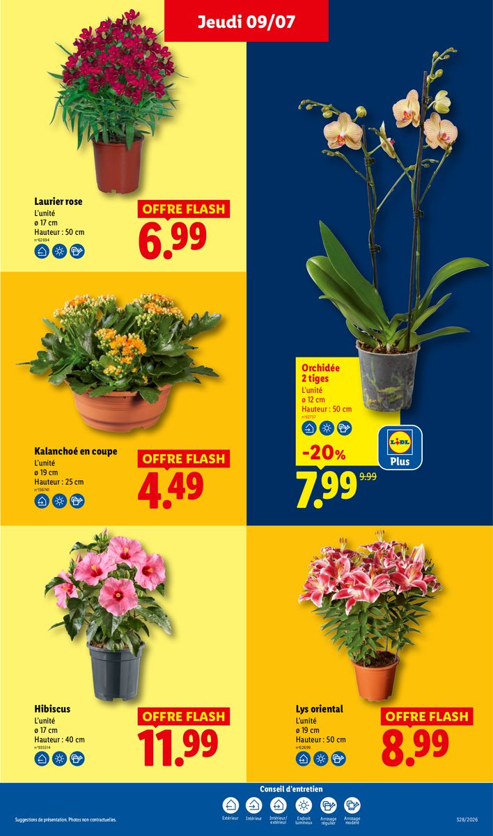 Lidl catalog page 31 — 2026-07-09 to 2026-07-15