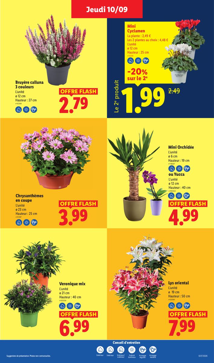 Lidl catalog page 49 — 2026-09-10 to 2026-09-16