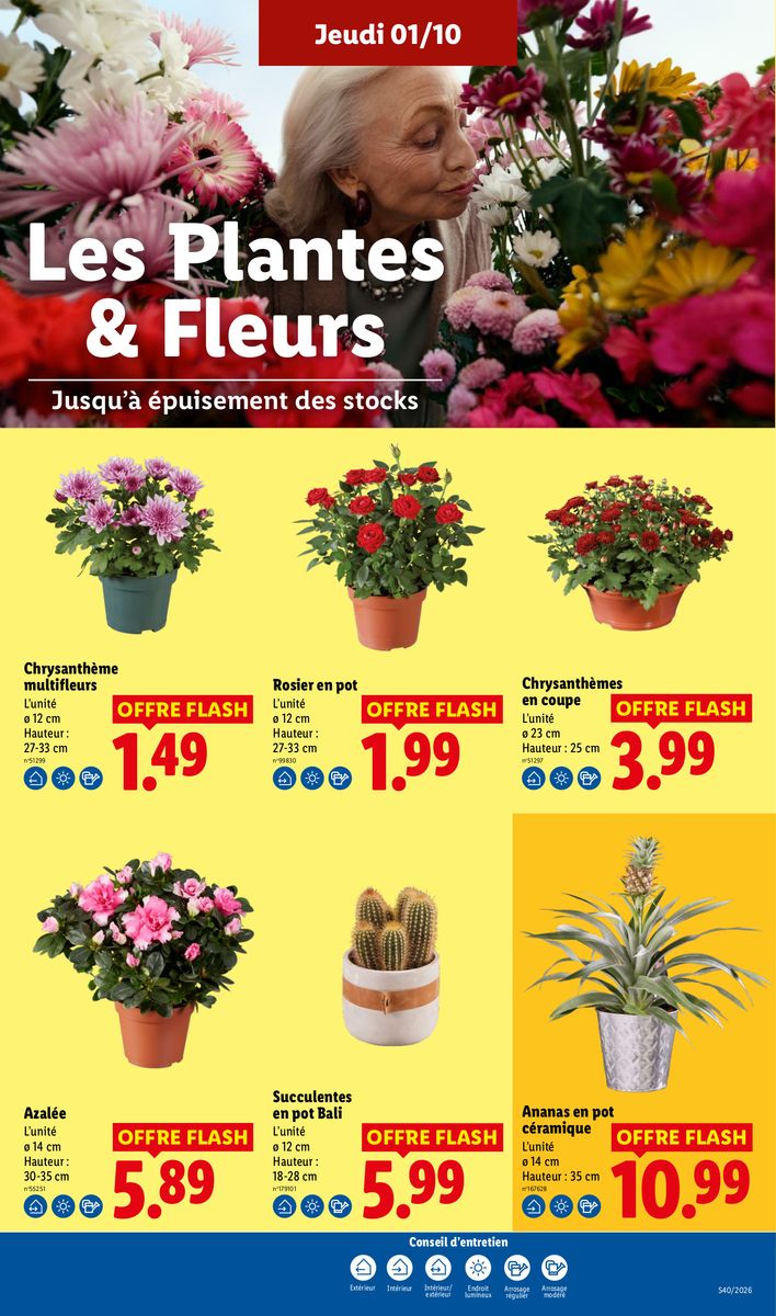 Lidl catalog page 29 — 2026-10-01 to 2026-10-07