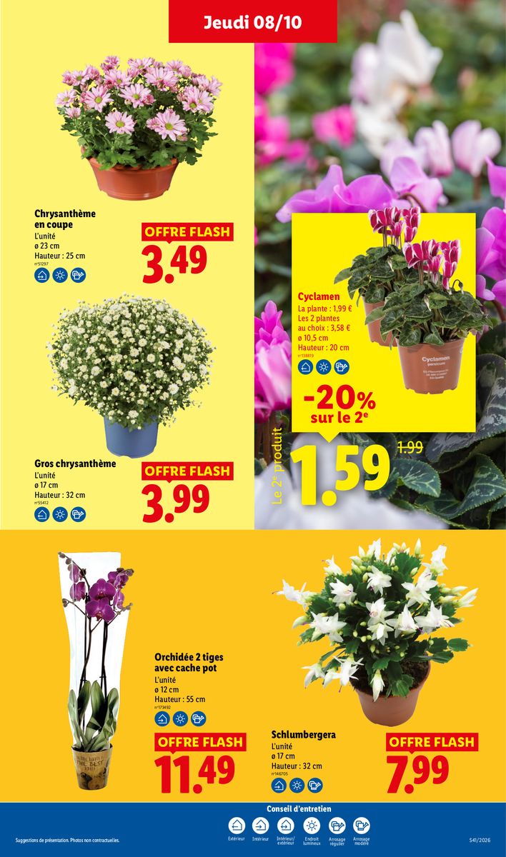 Lidl catalog page 29 — 2026-10-08 to 2026-10-14