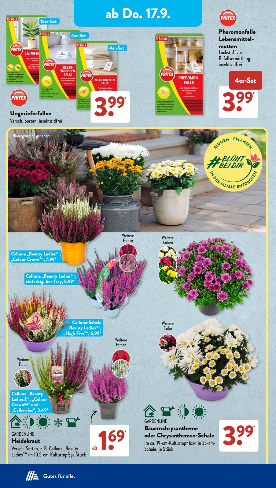Aldi Sued catalog page 12 — 2026-09-14 to 2026-09-19