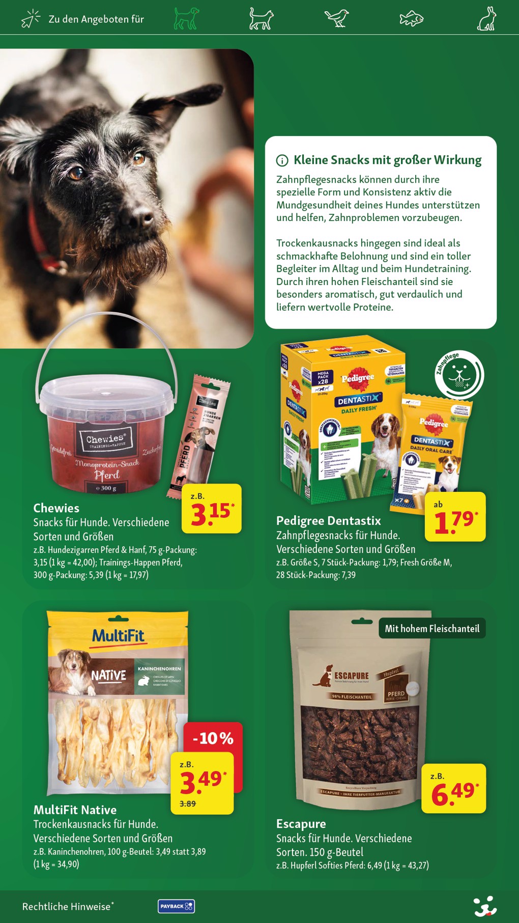 Fressnapf catalog page 12 — 2026-06-25 to 2026-07-05