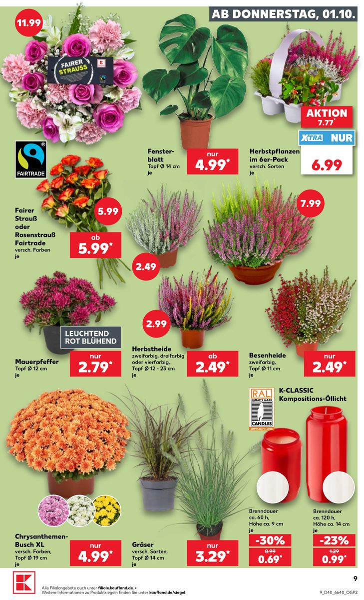 Kaufland catalog page 13 — 2026-10-01 to 2026-10-07