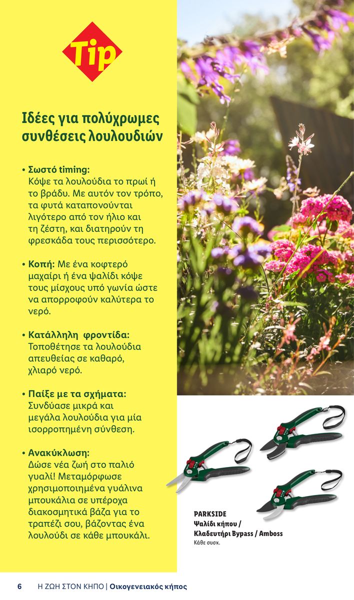 Lidl catalog page 6 — 2026-04-06 to 2026-06-03