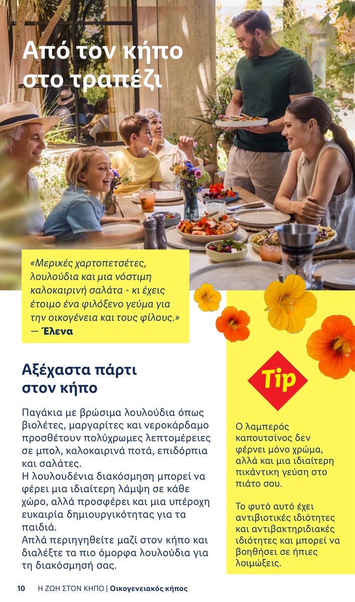 Lidl catalog page 10 — 2026-04-06 to 2026-06-03