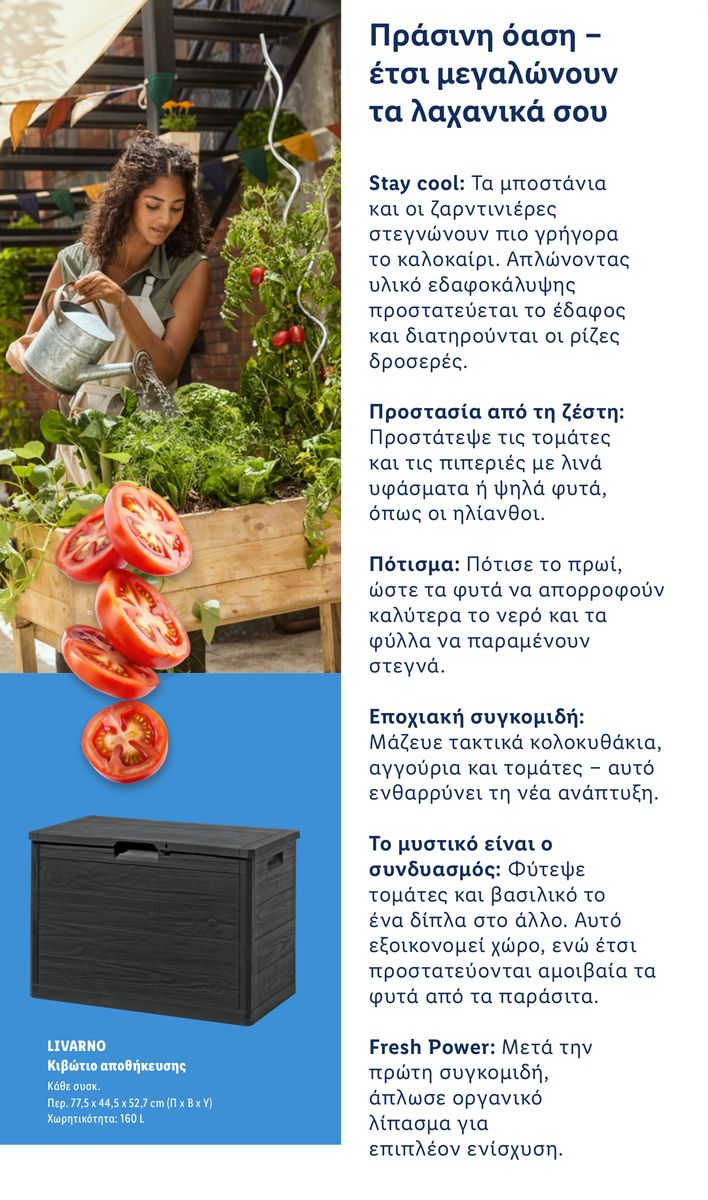 Lidl catalog page 17 — 2026-04-06 to 2026-06-03