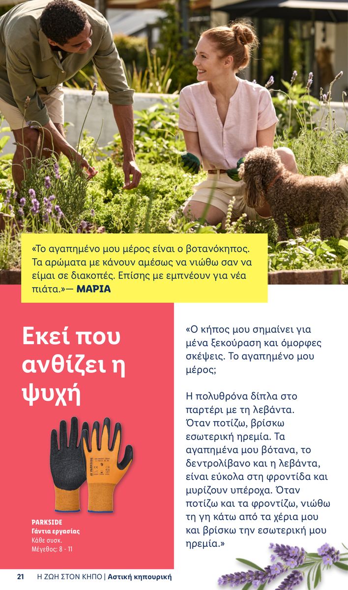 Lidl catalog page 21 — 2026-04-06 to 2026-06-03