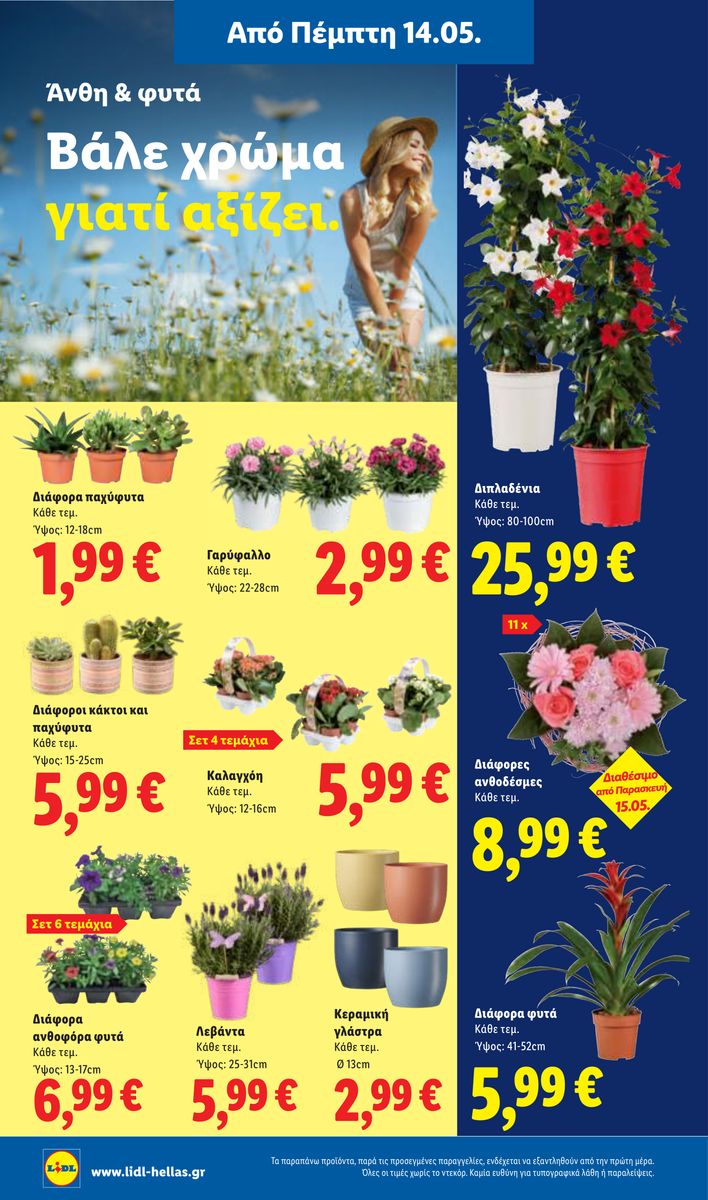 Lidl catalog page 40 — 2026-05-14 to 2026-05-20