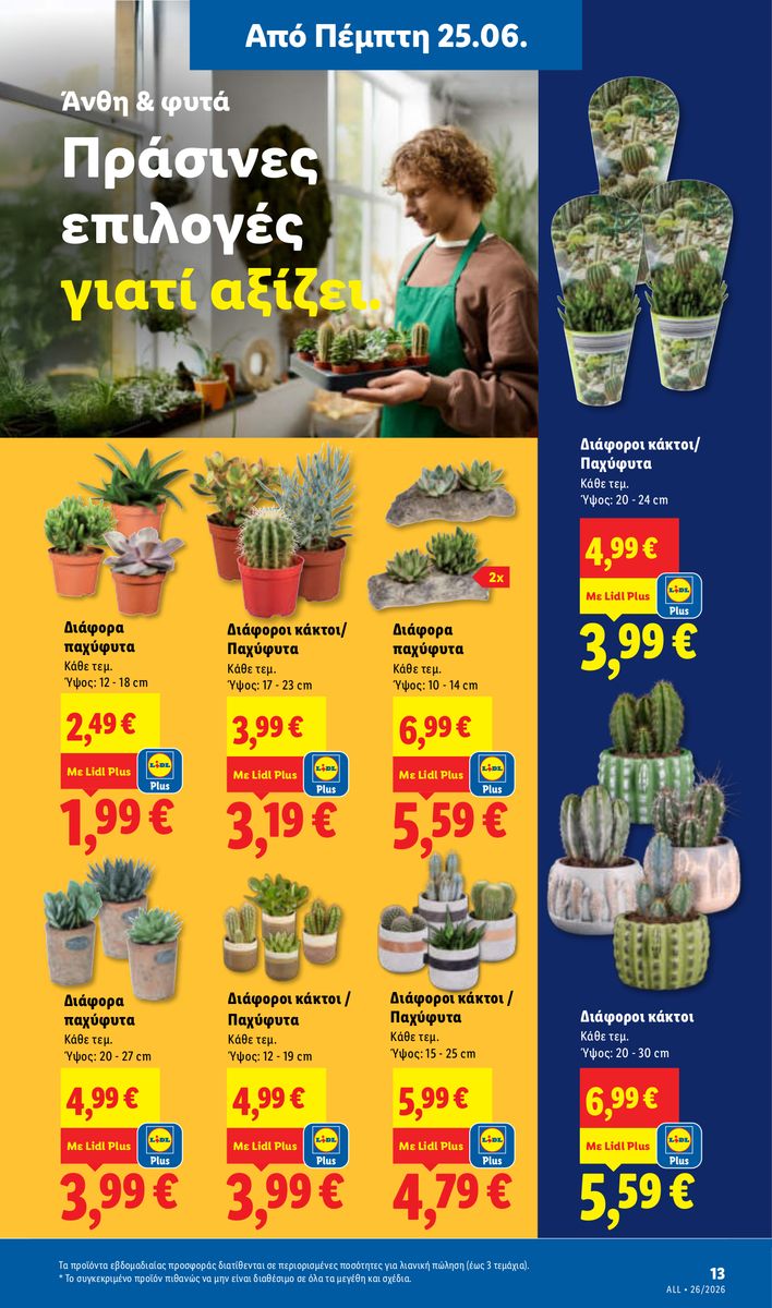 Lidl catalog page 55 — 2026-06-28 to 2026-07-01