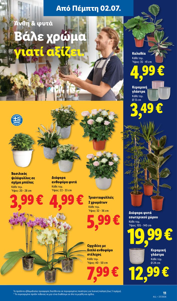 Lidl catalog page 43 — 2026-07-02 to 2026-07-08