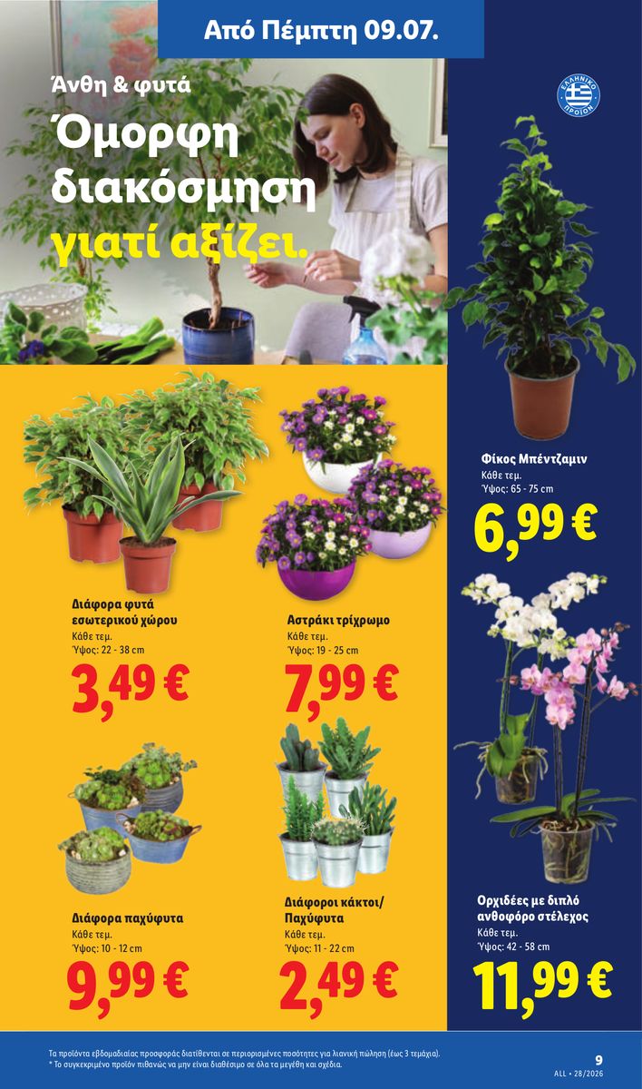 Lidl catalog page 43 — 2026-07-09 to 2026-07-15