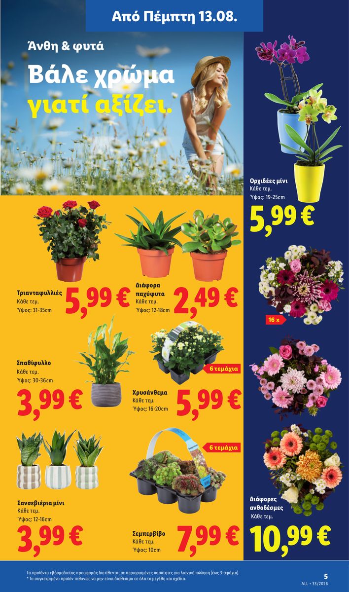 Lidl catalog page 39 — 2026-08-13 to 2026-08-19