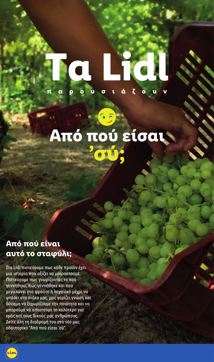 Lidl catalog page 17 — 2026-09-10 to 2026-09-16