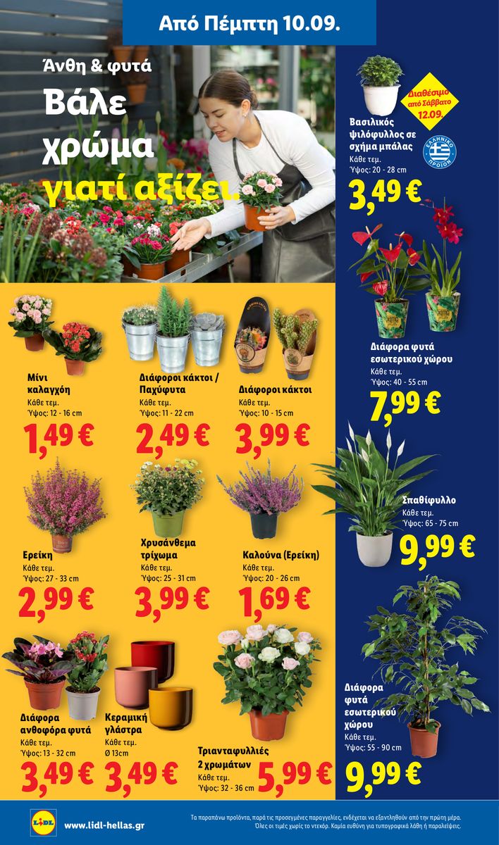 Lidl catalog page 38 — 2026-09-10 to 2026-09-16