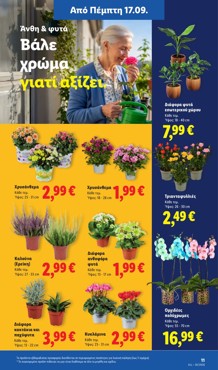 Lidl catalog page 41 — 2026-09-17 to 2026-09-23