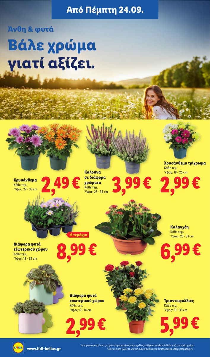 Lidl catalog page 42 — 2026-09-24 to 2026-09-30