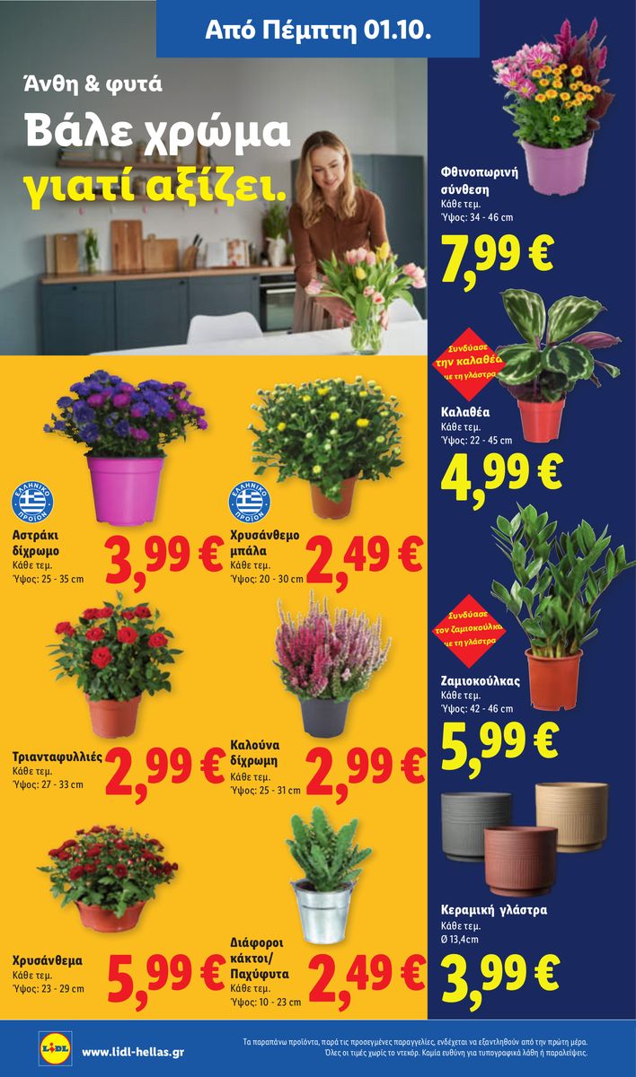 Lidl catalog page 50 — 2026-10-01 to 2026-10-07