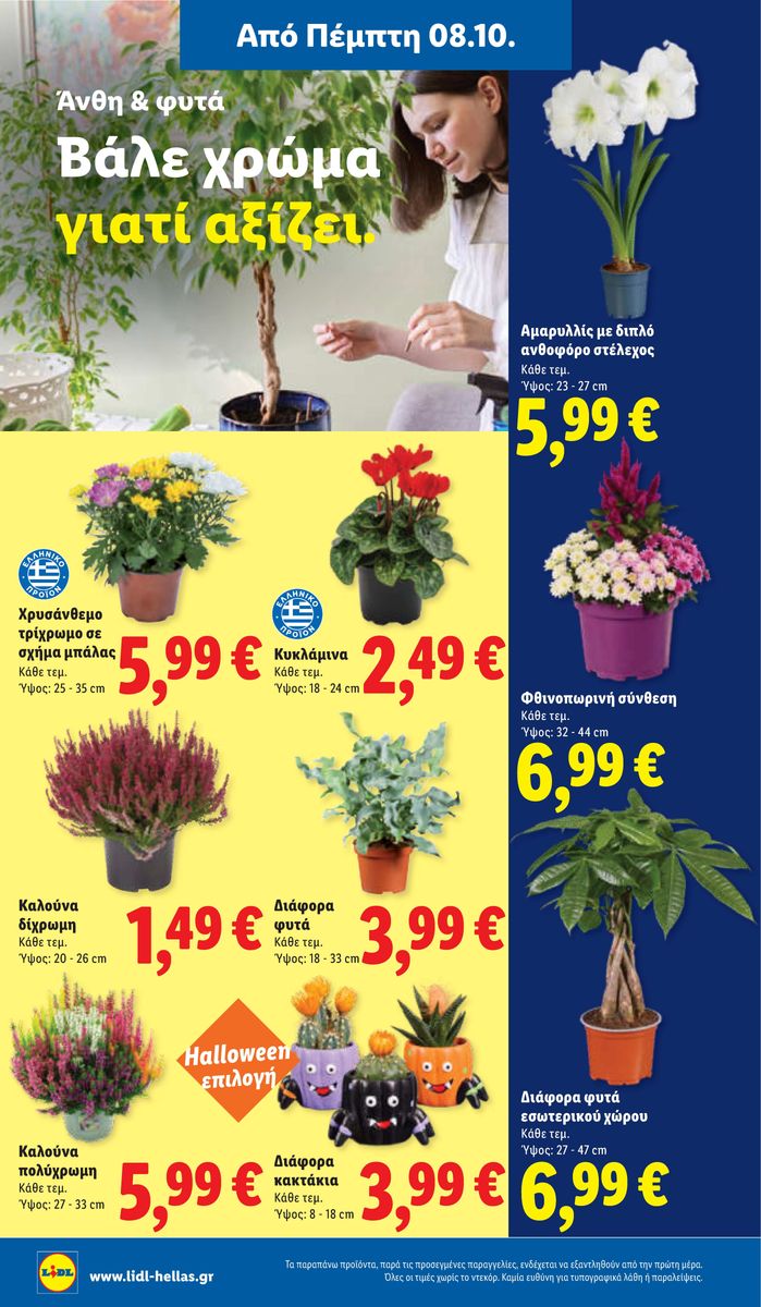 Lidl catalog page 56 — 2026-10-08 to 2026-10-14