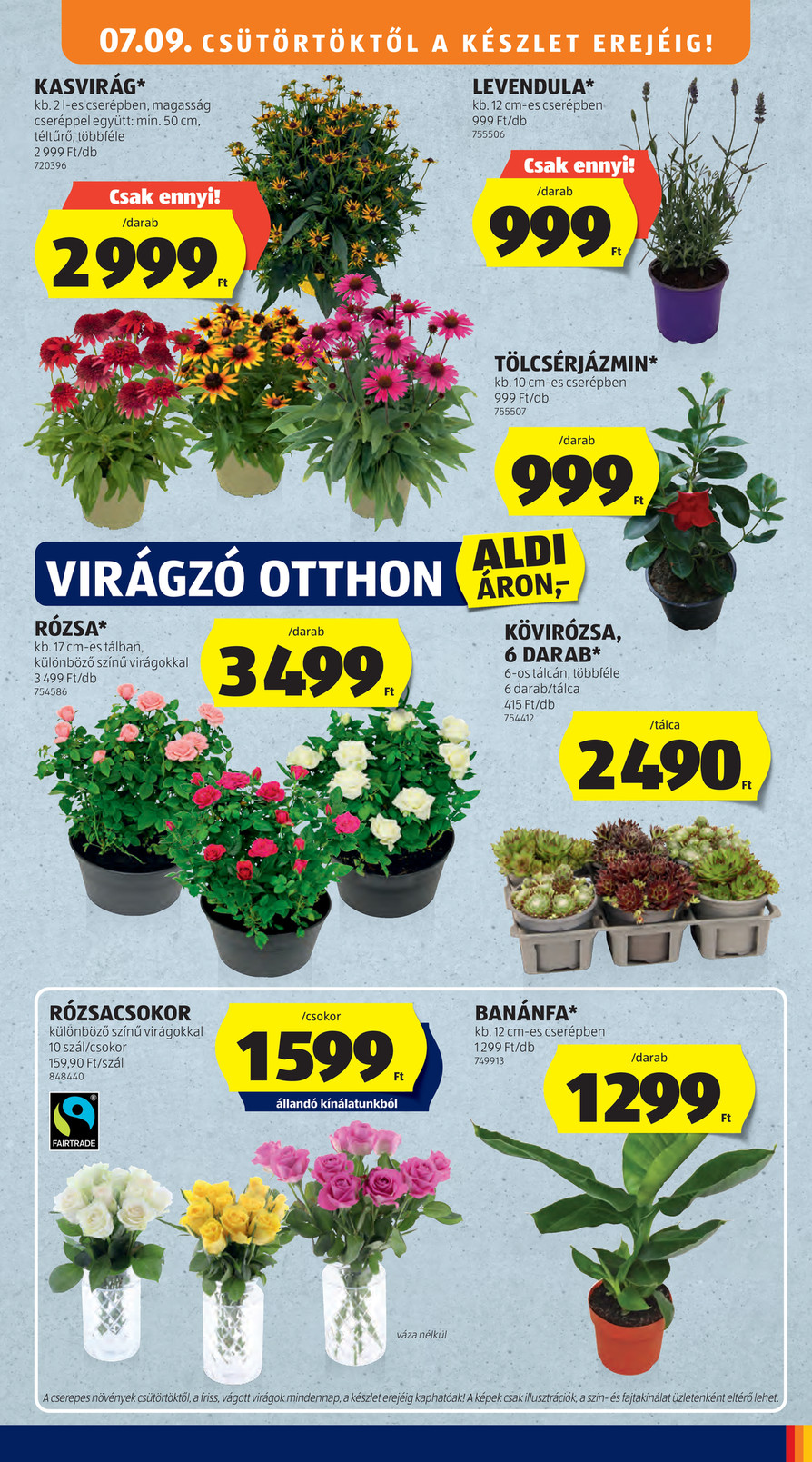 Aldi catalog page 45 — 2026-07-09 to 2026-07-09