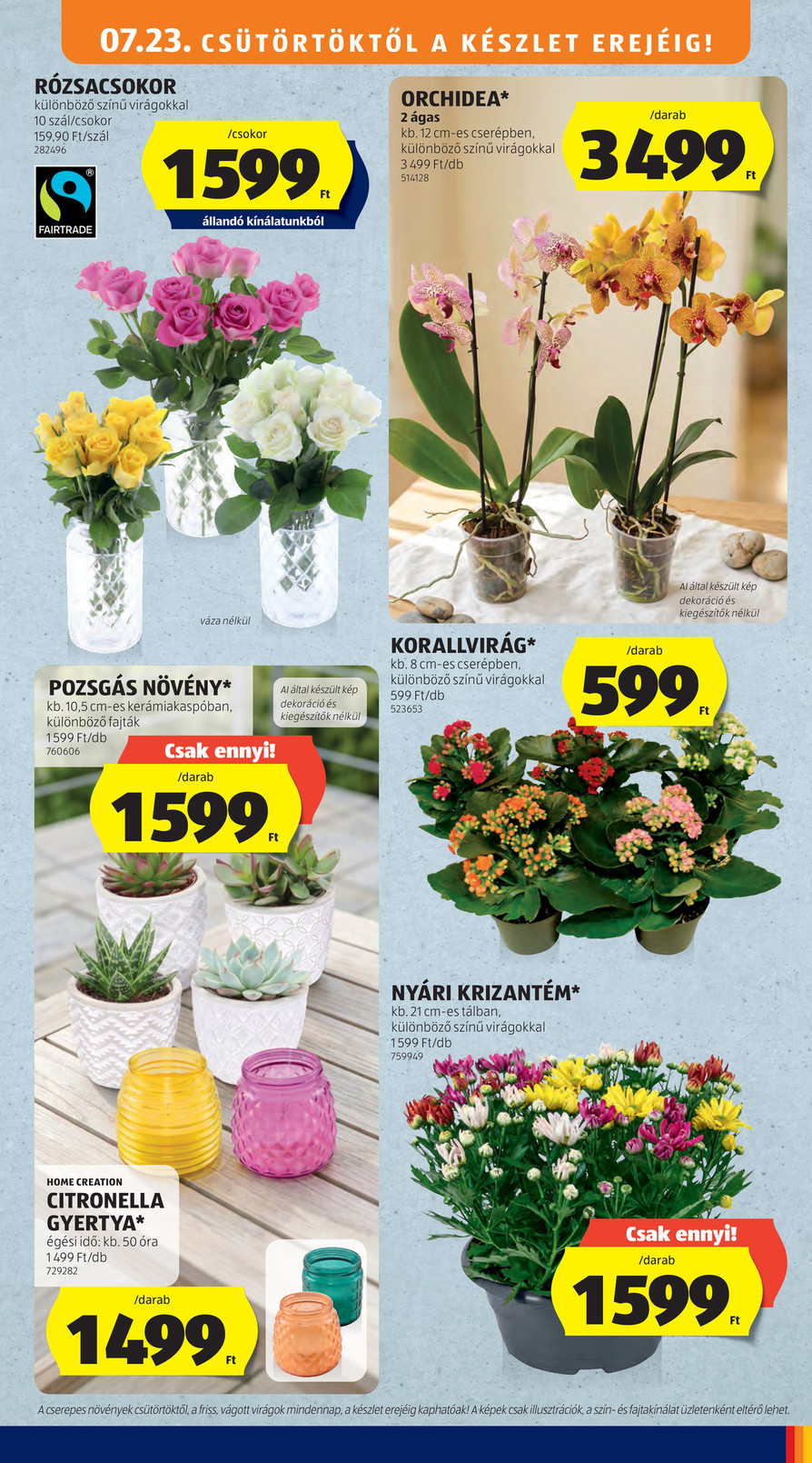Aldi catalog page 45 — 2026-07-23 to 2026-07-23