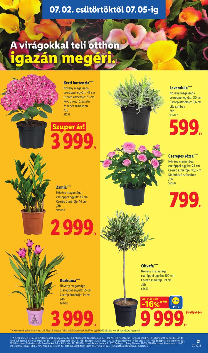 Lidl catalog page 21 — 2026-06-29 to 2026-07-04