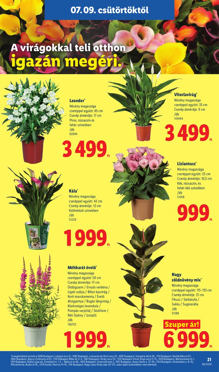 Lidl catalog page 21 — 2026-07-06 to 2026-07-11