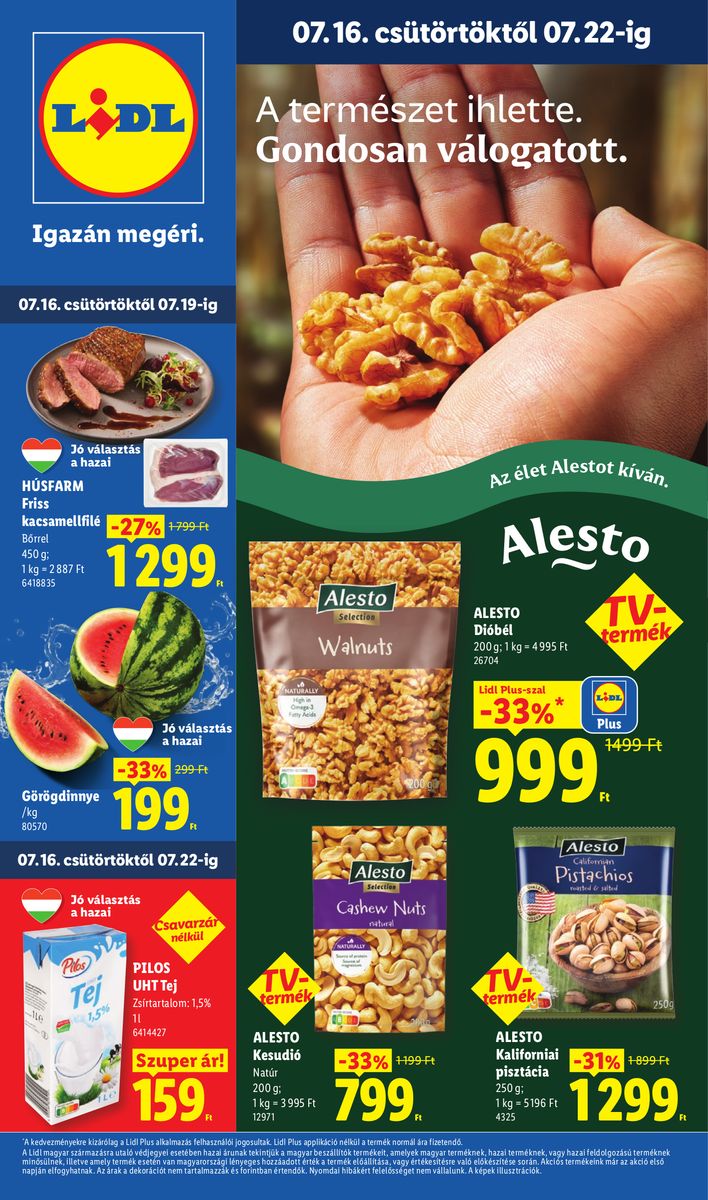 Lidl catalog cover