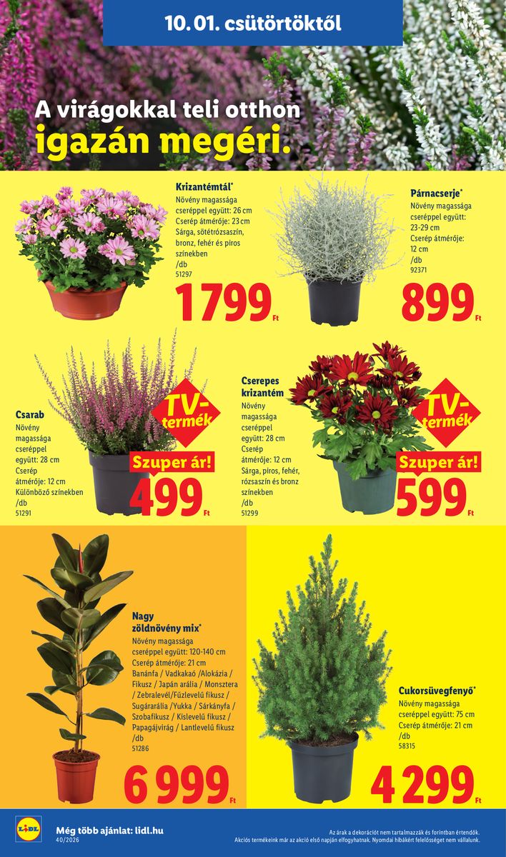 Lidl catalog page 26 — 2026-09-28 to 2026-10-03