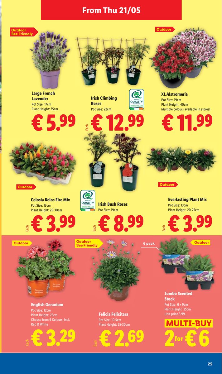 Lidl catalog page 25 — 2026-05-21 to 2026-05-27