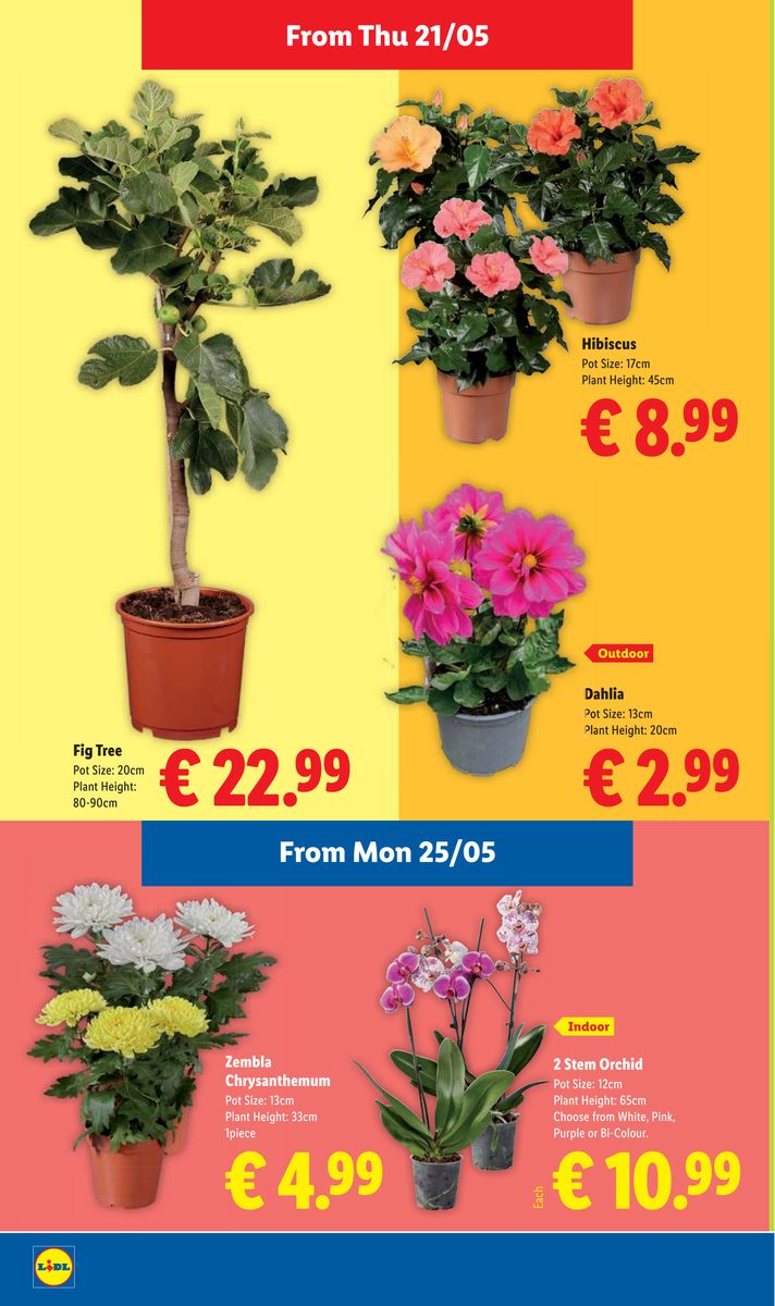 Lidl catalog page 26 — 2026-05-21 to 2026-05-27