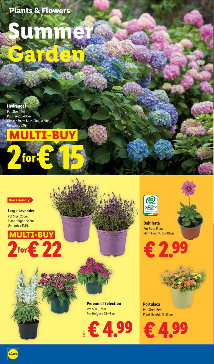 Lidl catalog page 24 — 2026-06-25 to 2026-07-01