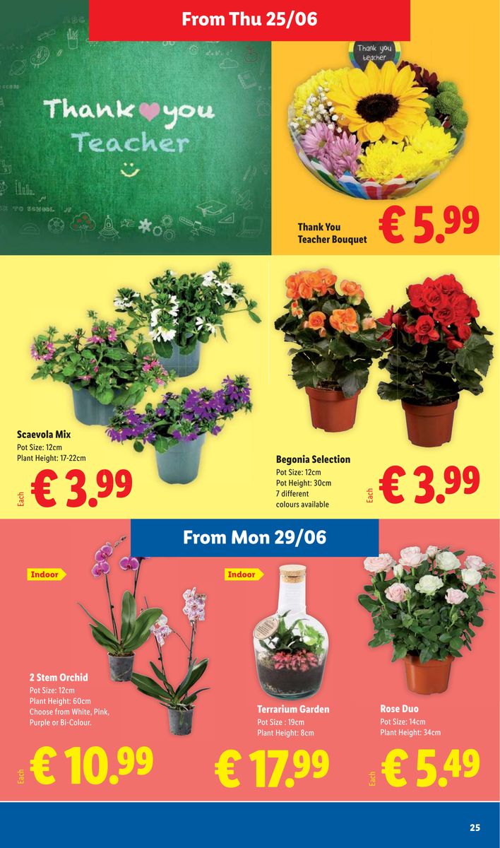Lidl catalog page 25 — 2026-06-25 to 2026-07-01